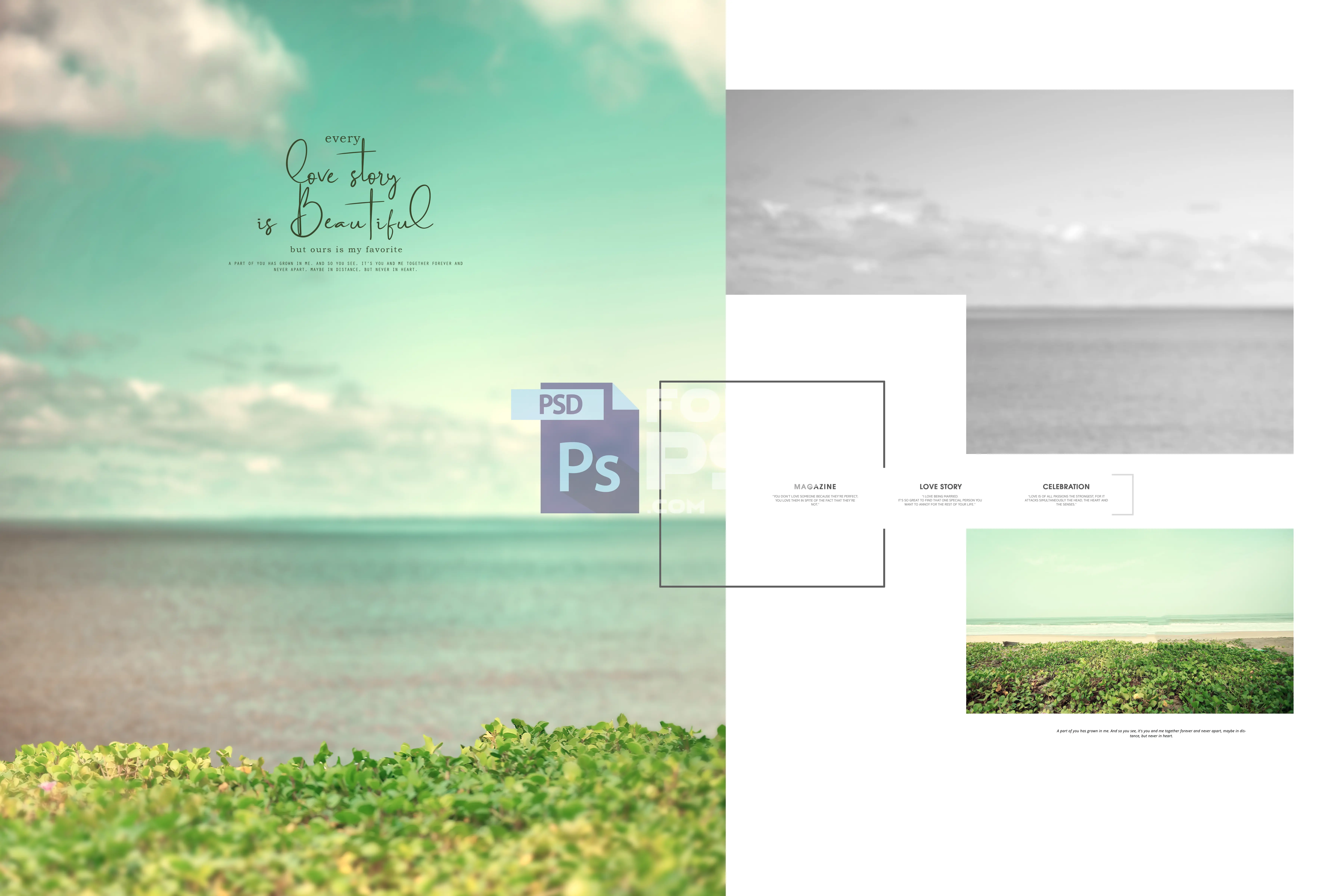 Image Preview